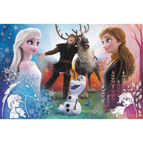 Puzzle Frozen 2 300 el. Trefl (23006)
