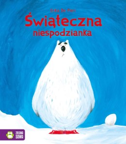 Książka dla dzieci Świąteczna niespodzianka Aksjomat