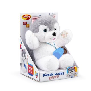 Pluszak interaktywny PIESEK HUSKY Dumel (DD30820)