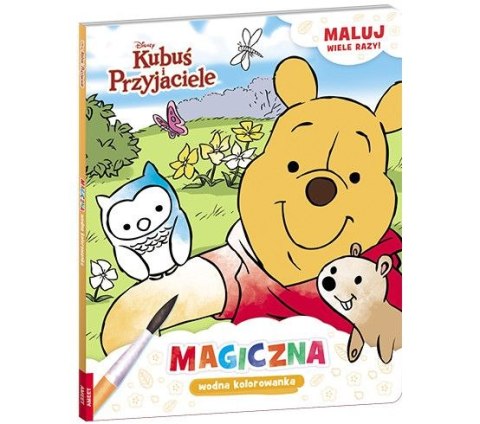 Książka dla dzieci Kubuś i Przyjaciele. Magiczna wodna Ameet (MWB 9103)