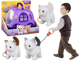 Pluszak interaktywny kot na smyczy z transporterem Adar (625433)