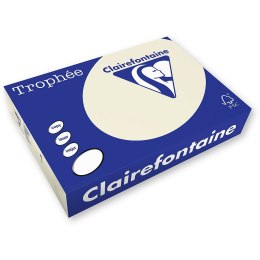 Papier kolorowy A4 piaskowy 210g Trophee (xca42204)