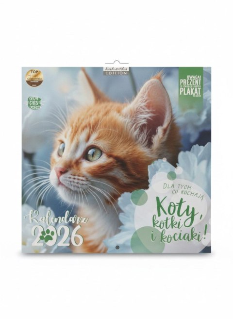 Kalendarz ścienny classic KOTY 300mm x 300mm Kukartka