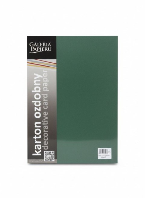 Papier ozdobny (wizytówkowy) Earth A4 Zielony 210g Galeria Papieru (205457)