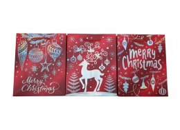 Torba prezentowa [mm:] 180x230x 100 Ju Piter (JP-ŚW 564C 18x23x10)