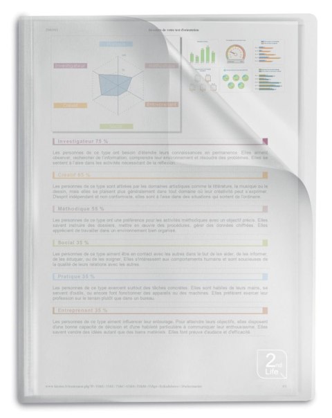 Album ofertowy Elba 2Life A4 40 kieszeni (400059343)