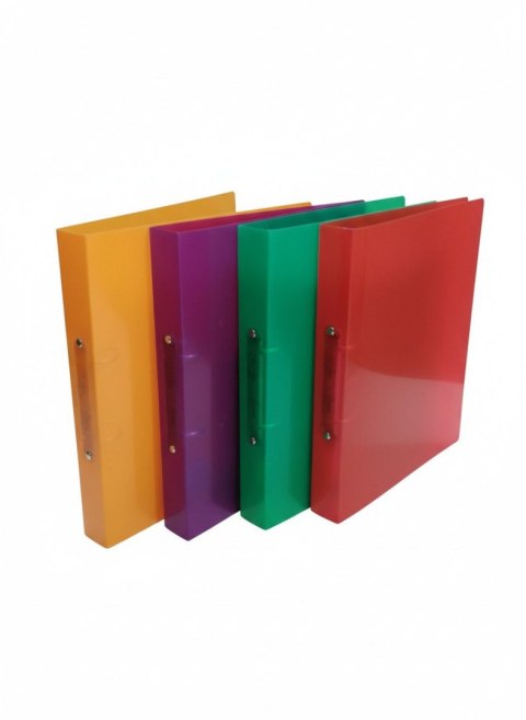 Segregator ofertowy 2-ringowy A4 mix Toma (818083)
