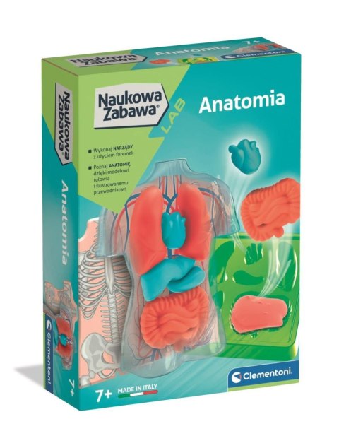 Zestaw kreatywny dla dzieci Anatomia Clementoni (50252)