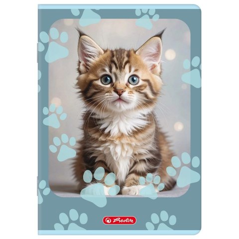 Zeszyt Animals A5 32k. 70g linia Herlitz (400206383)