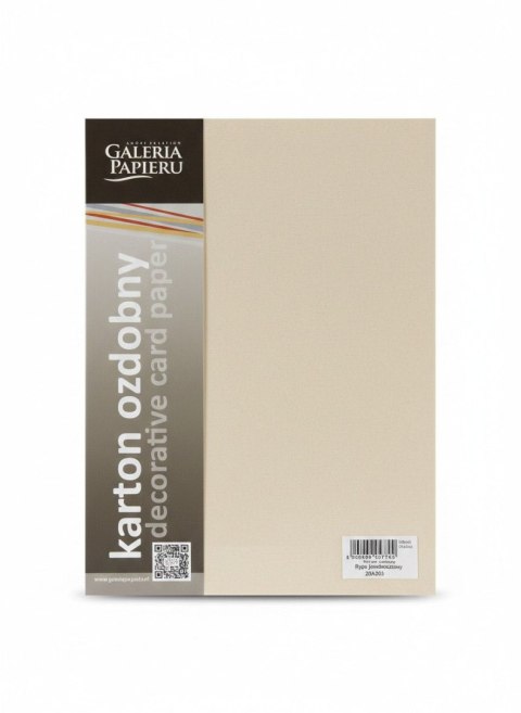 Papier ozdobny (wizytówkowy) Ryps A4 beżowy 250g Galeria Papieru (204701)