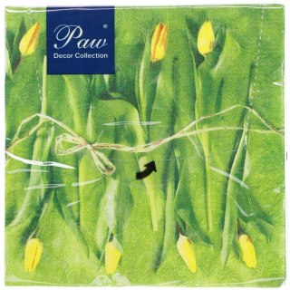 Serwetki Lunch wiosna mix bibuła [mm:] 330x330 Paw (SDL228300)