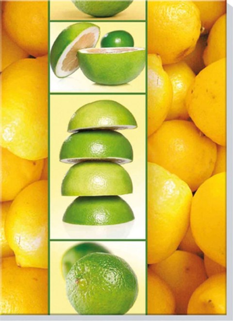 Brulion A6 64k. krata Kreska