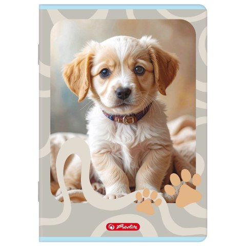 Zeszyt ANIMALS A5 16k. 70g linia podwójna kolorowa Herlitz (400206377)