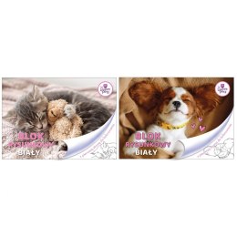 Blok rysunkowy Beniamin The Sweet Pets A4 biała 80g 20k 296mm x 210mm