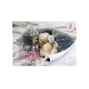 Blok rysunkowy Beniamin The Sweet Pets A4 biała 80g 20k 296mm x 210mm