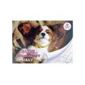 Blok rysunkowy Beniamin The Sweet Pets A4 biała 80g 20k 296mm x 210mm