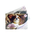 Blok rysunkowy Beniamin The Sweet Pets A4 biała 80g 20k 296mm x 210mm