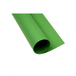 Brystol zielony B1 Zielony 225g 1k Creatinio (400150268)