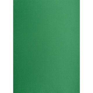 Brystol zielony ciemny B1 zielony ciemny 225g 1k Creatinio (400150269)