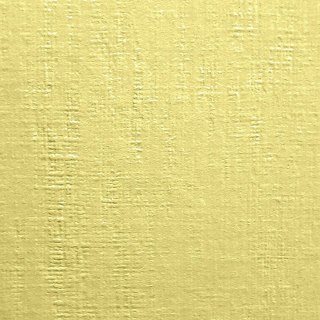 Papier ozdobny (wizytówkowy) A4 kremowy 246g Protos