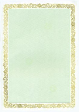 Dyplom Galeria Papieru maori zielony A4 190g (210319)