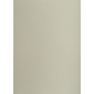 Brystol A1 szary 160g 25k [mm:] 610x860 TOP-2000 (400149523)
