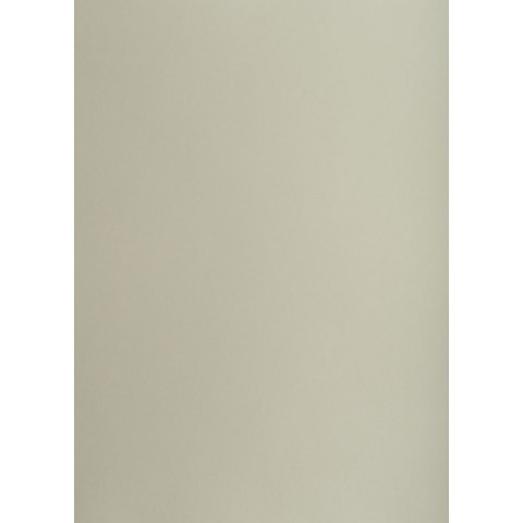 Brystol A1 szary 160g 25k [mm:] 610x860 TOP-2000 (400149523)