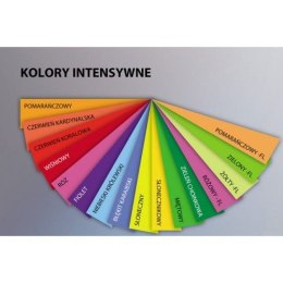 Papier kolorowy Trophee kolorowy A4 - żółty 80g (xca42977)