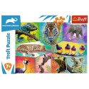 Puzzle Trefl 200 el. (13280)