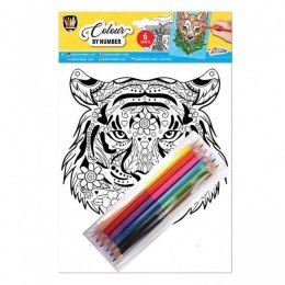 Zestaw kreatywny dla dzieci Grafix koloruj po numerach mix (150058)