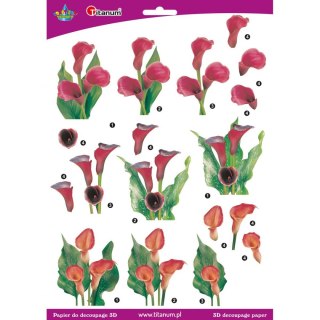 Akcesoria do decoupagu Craft-Fun Series papier do dekoracji 3D Titanum (22007)