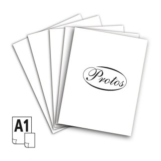 Brystol A1 biały 250g 20k [mm:] 610x860 Protos
