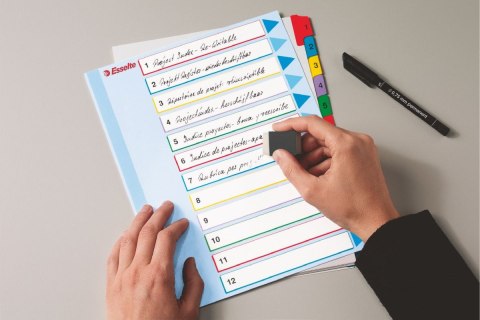 Przekładka numeryczna Mylar maxi A4 mix kolorów 160g 31k 1-31 Esselte (100210)