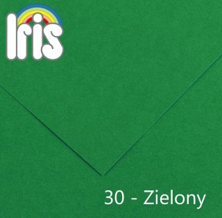 Brystol Iris 30 B1 zielony 240g 25k [mm:] 700x1000 Canson (200040469)