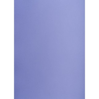 Brystol purpurowy B1 purpurowy 225g 1k Creatinio (400150271)