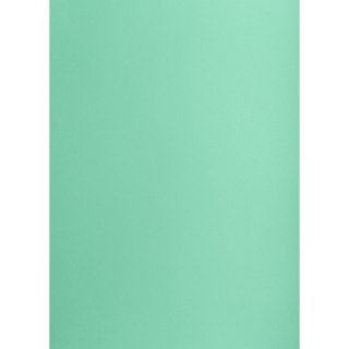 Brystol turkusowy B1 turkusowy 225g 1k Creatinio (400150265)