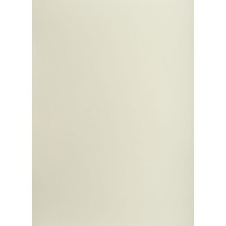 Brystol szary jasny B1 SZARY 225g 1k Creatinio (400150253)