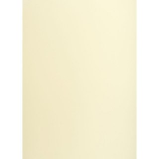 Brystol A1 kremowy 160g 25k [mm:] 610x860 TOP-2000 (400149521)