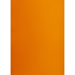 Brystol A1 pomarańczowy 160g 25k [mm:] 610x860 TOP-2000 (400149550)