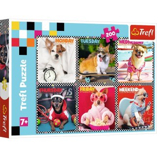 Puzzle 200 el. Trefl (113279)