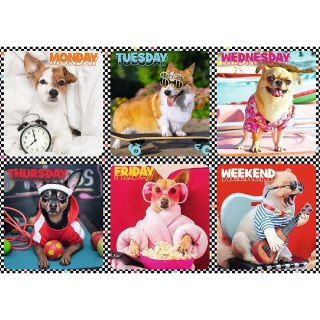 Puzzle 200 el. Trefl (113279)