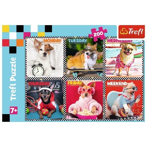 Puzzle 200 el. Trefl (113279)