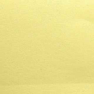 Papier ozdobny (wizytówkowy) Gładki A4 kremowy 100g Protos