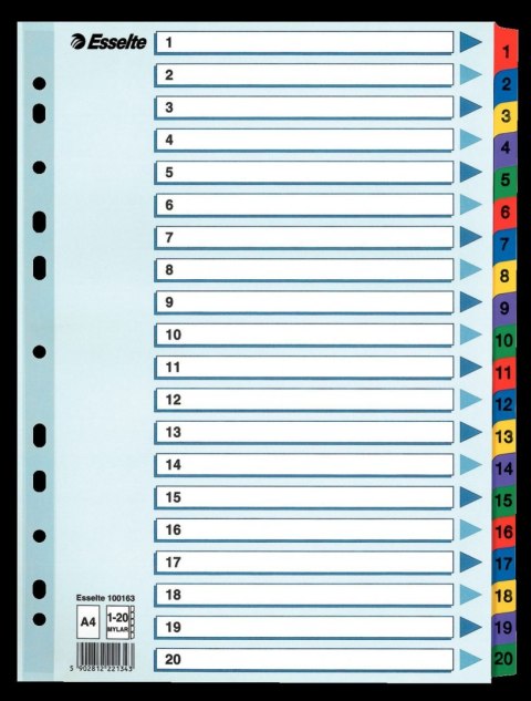Przekładka numeryczna Mylar kartonowa A4 mix kolorów 160g 20k 1-20 Esselte (100163)