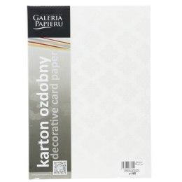 Papier ozdobny (wizytówkowy) Galeria Papieru glamour biały 230g 20 arkuszy A4 - biały 230g (204903)