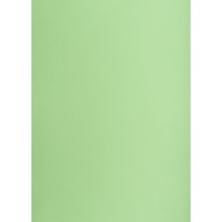 Brystol groszkowy B1 groszkowy 225g 1k Creatinio (400150266)