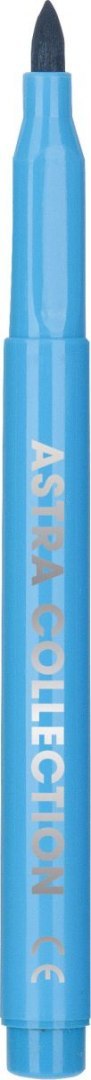 Flamaster 12 kol. Astra (314110003)