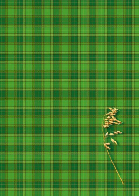 Brulion A4 300k. krata Kreska