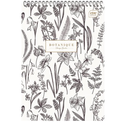 Kołozeszyt (kołonotatnik) A4 100k. krata Interdruk (KOŁOZA4100K)