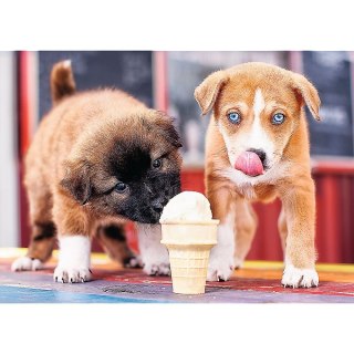 Puzzle Pora na lody 500 el. Trefl (37272)